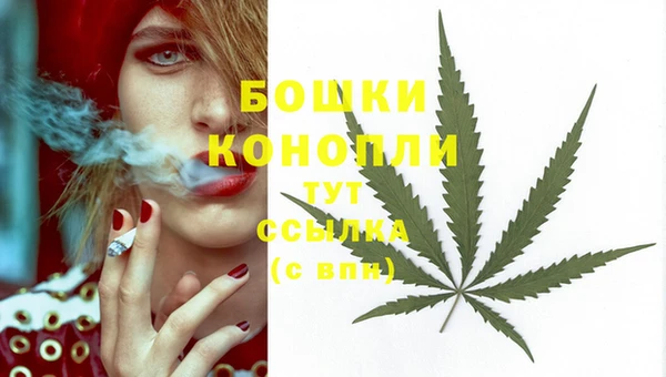 гидропоника Покачи