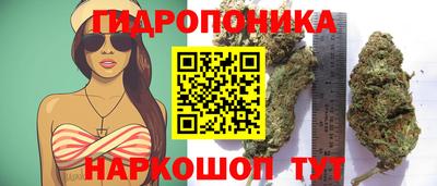 каннабис Берёзовский