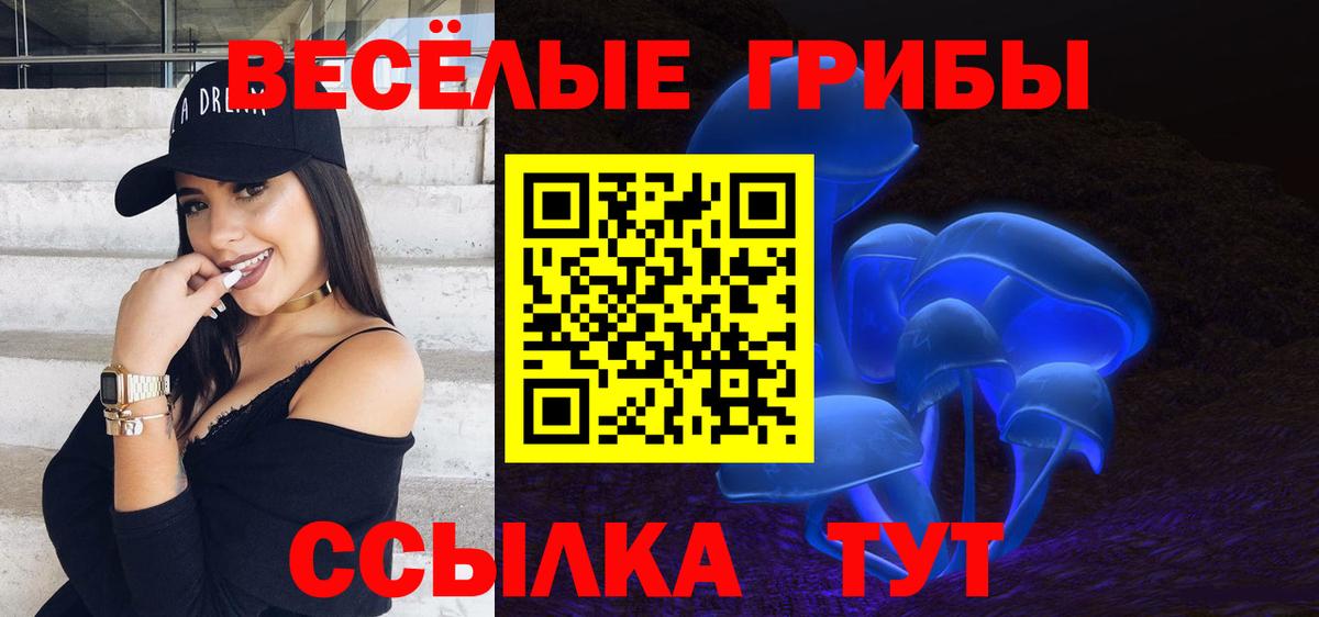 Псилоцибиновые грибы GOLDEN TEACHER Великий Устюг