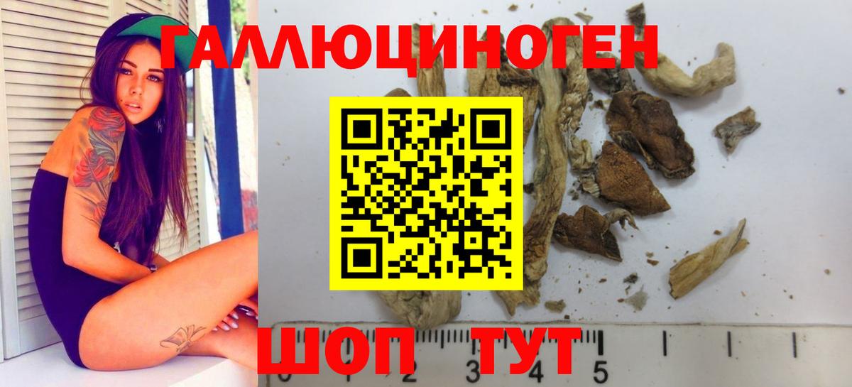 Псилоцибиновые грибы прущие грибы Великий Устюг